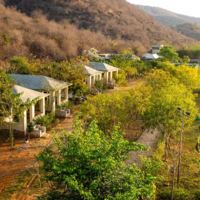 Beyond Stay Jungle Camp Sariska